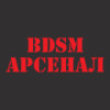 БДСМ Арсенал