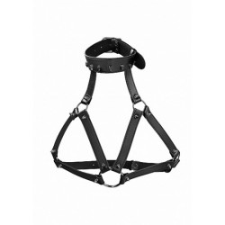 Портупеи, гартеры