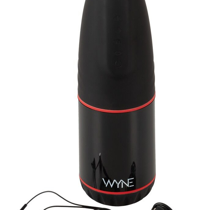 Мастурбатор №2 с двумя моторами WYNE 553484ON