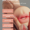 Двойной мастурбатор Satisfaction Goddess of Love 2101-04Lola