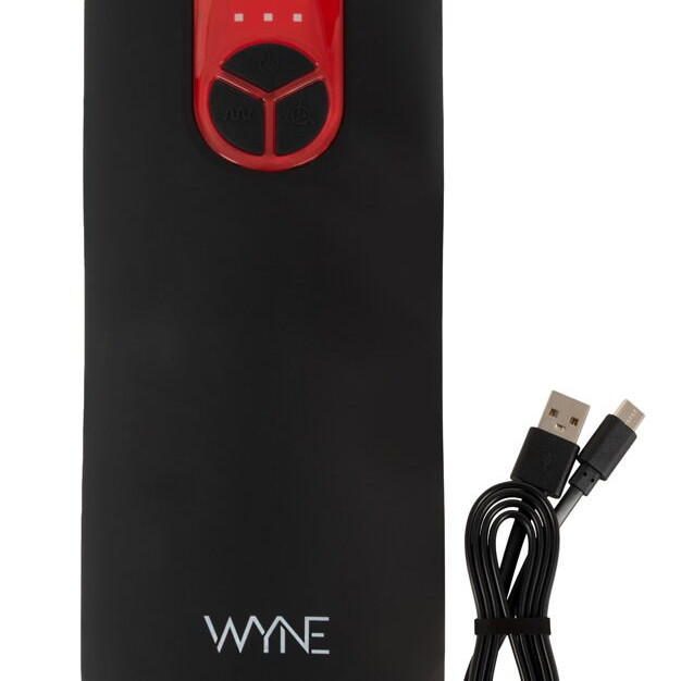 Мастурбатор №7 с двумя моторами WYNE 5401763ON