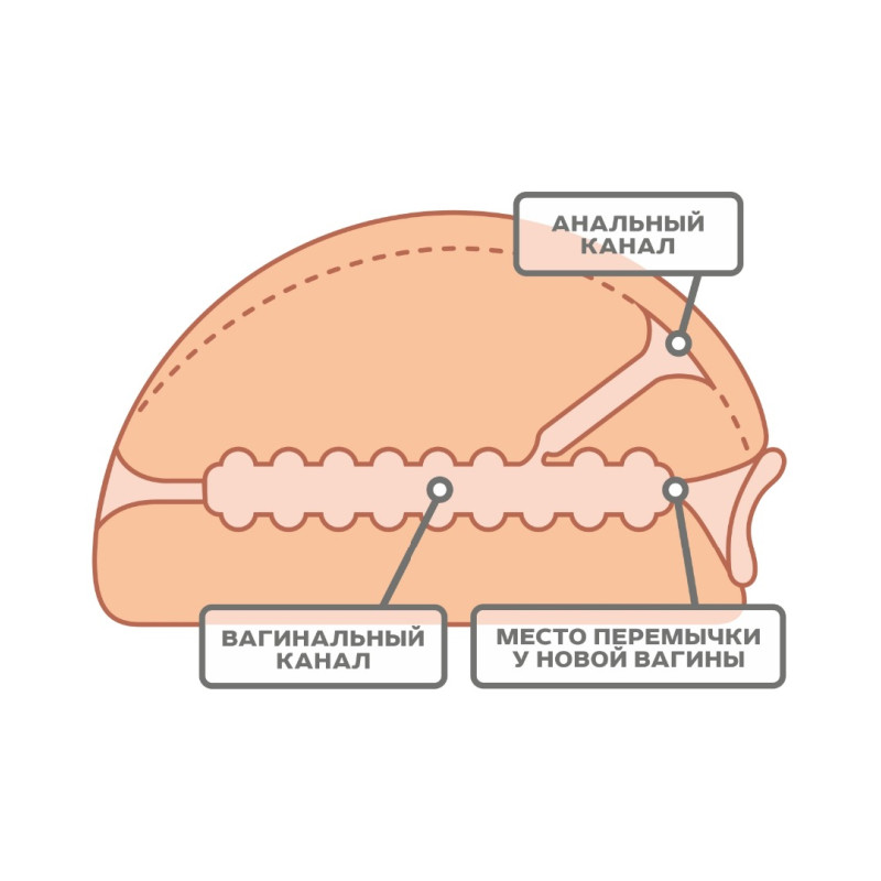 Мастурбатор для Мужчин 659401ru