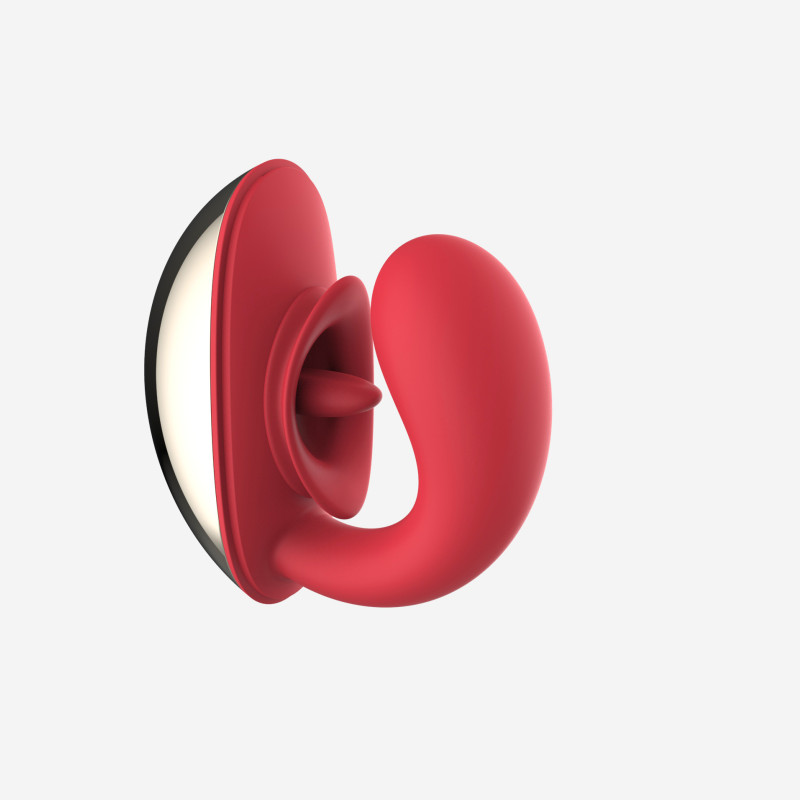 Вагинально-клиторальный вибратор c кейсом для хранения SW4044