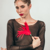 Тиклер Burlesque Plume Red 1082-01lola