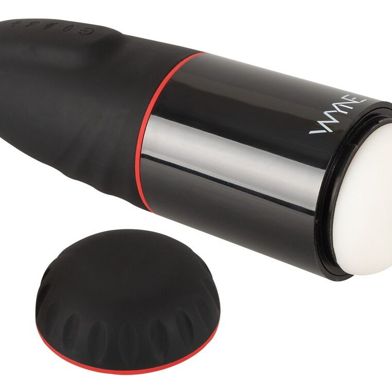 Мастурбатор №2 с двумя моторами WYNE 553484ON