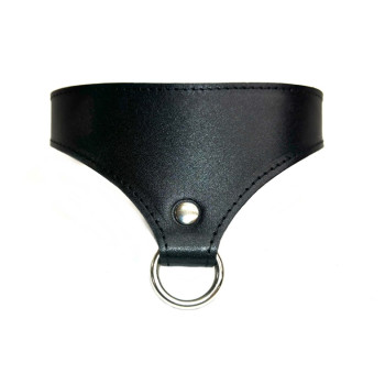 Ошейник кожаный Black Phoenix 6024ars