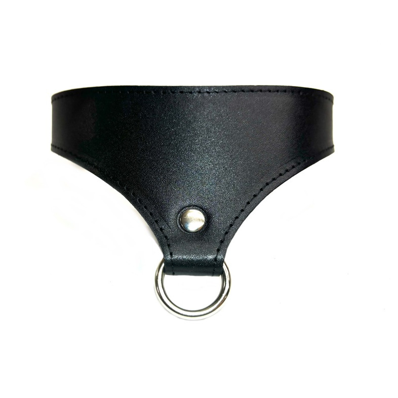 Ошейник кожаный Black Phoenix 6024ars