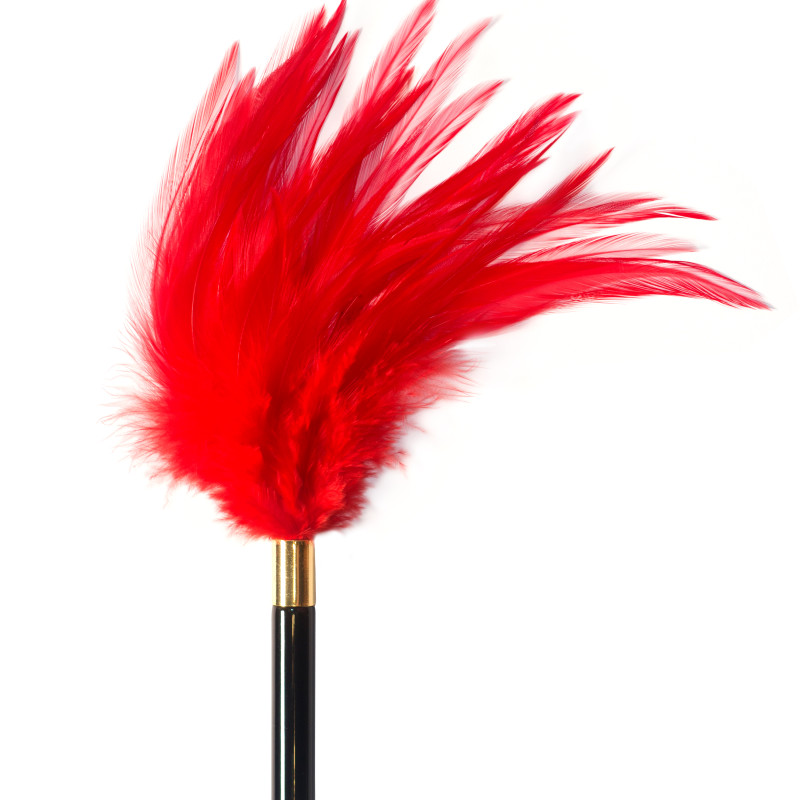 Тиклер Burlesque Plume Red 1082-01lola