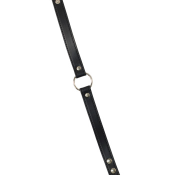 Ошейник Party Hard Intrigue 1090-01lola