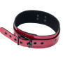 Ошейник Party Hard Eccentric 1092-01lola