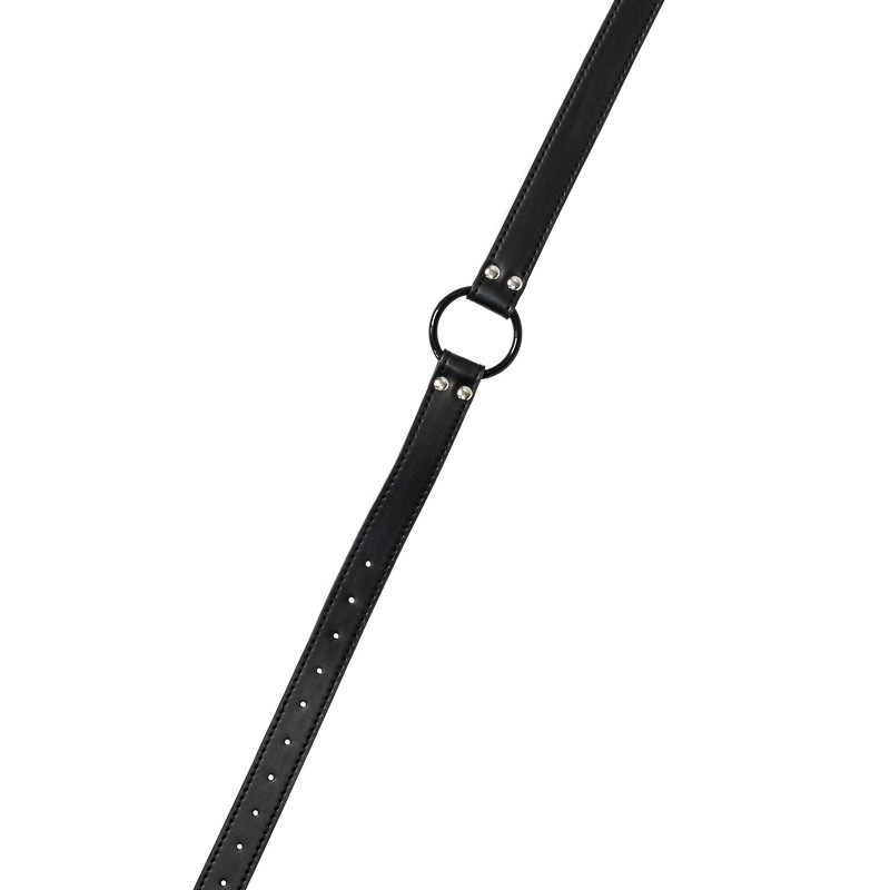 Кляп Party Hard Modesty 1143-01lola