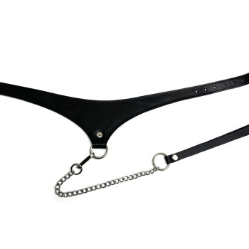 ошейник с поводком Black Phoenix 6029ars