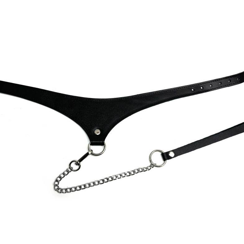 ошейник с поводком Black Phoenix 6029ars