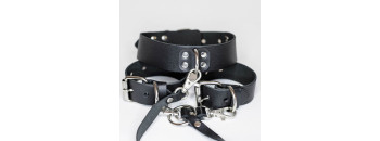 Ошейник Новичок 3358-1