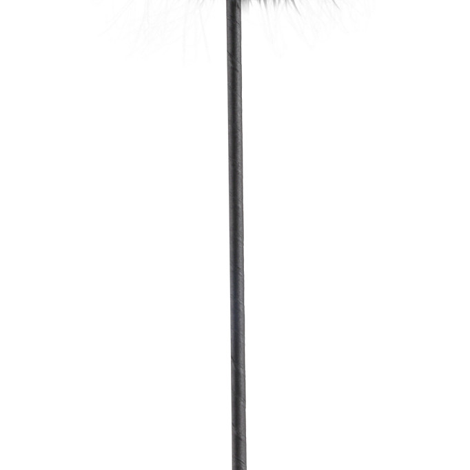 Стек и тиклер Limited Edition Feather Crop 440423PD