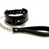 Ошейник с поводком из эко-кожи черный 50010ars