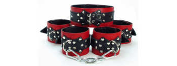 Набор БДСМ аксессуаров из кожи 53012ars