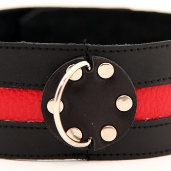 Ошейник черный с красным  55005ars