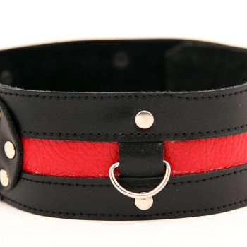Ошейник черный с красным  55005ars