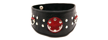 Ошейник кожаный с клепками 55006ars