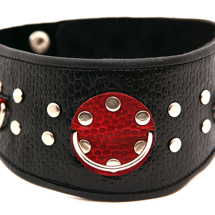 Ошейник кожаный с клепками 55006ars