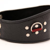 Ошейник кожаный с клепками 55006ars