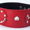 Ошейник красный с шипами 55017ars