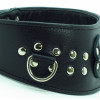 Ошейник для эротических игр  55025ars