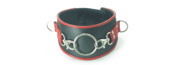 Ошейник с кольцом 55031ars
