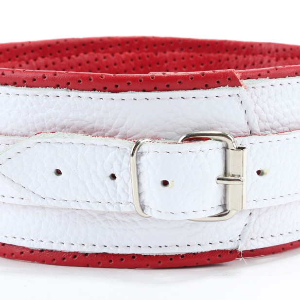 Ошейник белый с кольцом 55046ars
