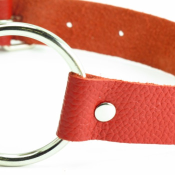 Кляп кольцо красный 60003ars