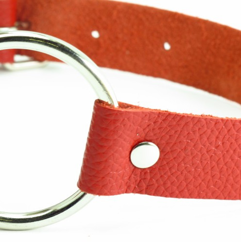 Кляп кольцо красный 60003ars