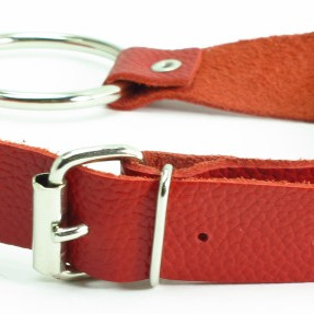 Кляп кольцо красный 60003ars