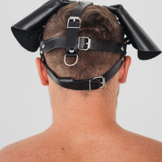 Маска Послушный Пес из натуральной кожы 58017ars