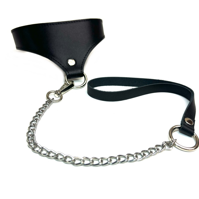 ошейник с поводком Black Phoenix 6029ars