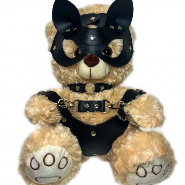 БДСМ Мишка №10